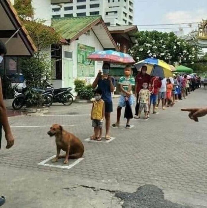 31 Animal Photos Shared By This Page That Are Equal Parts Adorable and Absurd 31 Animal Photos Shared By This Page That Are Equal Parts Adorable and Absurd