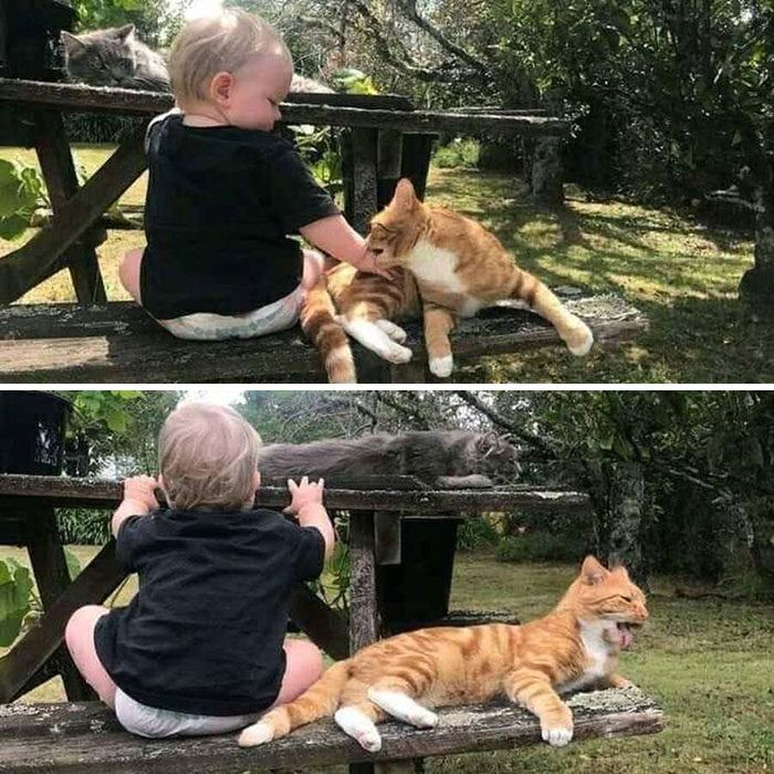 31 Animal Photos Shared By This Page That Are Equal Parts Adorable and Absurd 31 Animal Photos Shared By This Page That Are Equal Parts Adorable and Absurd