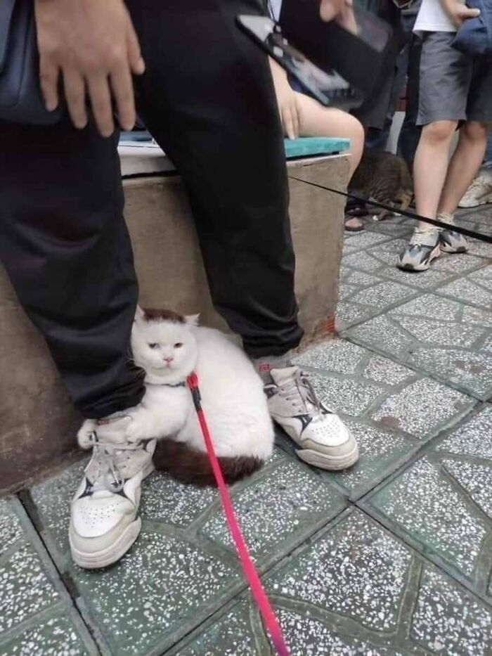 31 Animal Photos Shared By This Page That Are Equal Parts Adorable and Absurd 31 Animal Photos Shared By This Page That Are Equal Parts Adorable and Absurd