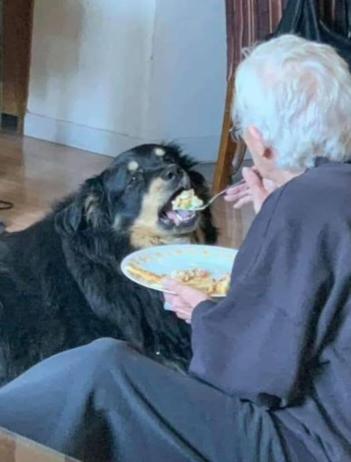 31 Animal Photos Shared By This Page That Are Equal Parts Adorable and Absurd 31 Animal Photos Shared By This Page That Are Equal Parts Adorable and Absurd