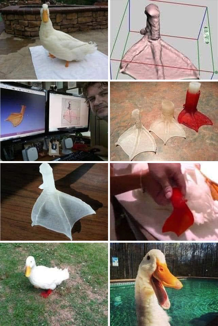 31 Animal Photos Shared By This Page That Are Equal Parts Adorable and Absurd 31 Animal Photos Shared By This Page That Are Equal Parts Adorable and Absurd