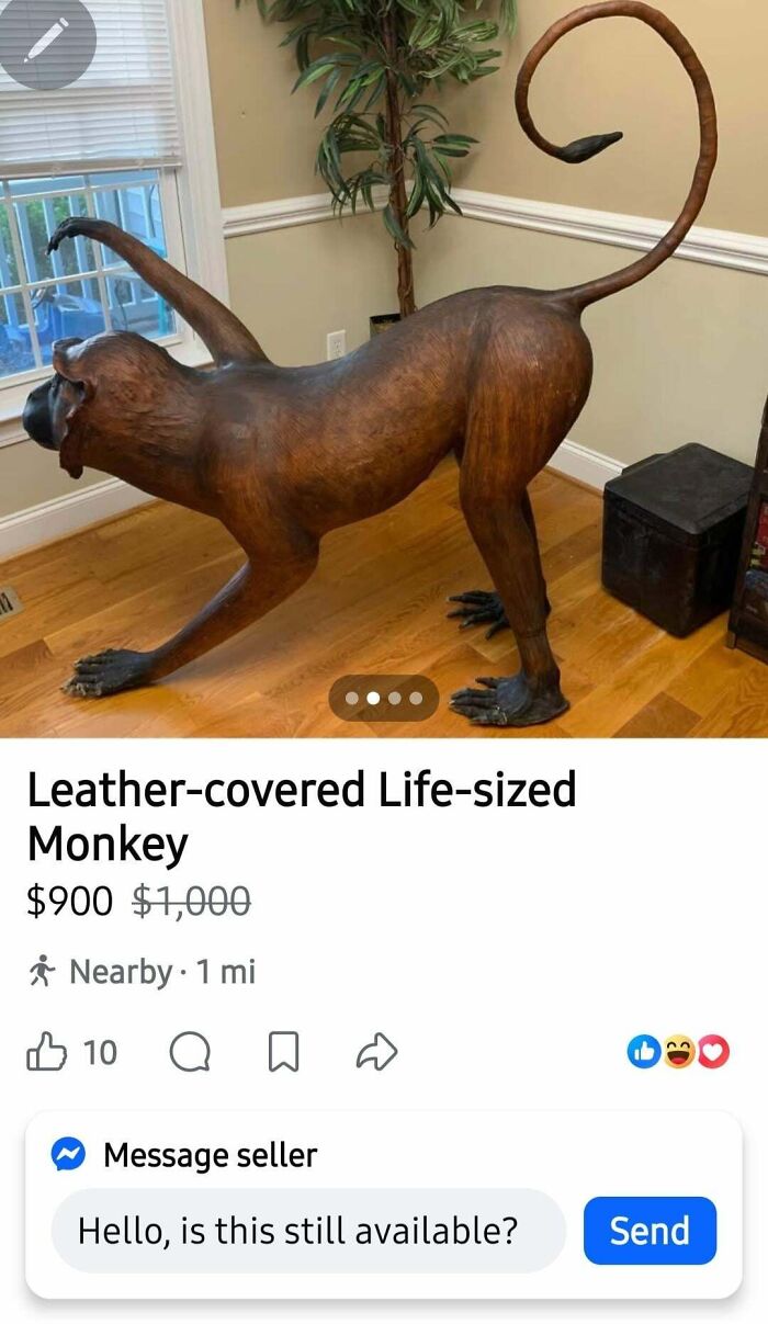 65 Marketplace Listings So Unhinged They Should Come With A Disclaimer And A Hotline Number 65 Marketplace Listings So Unhinged They Should Come With A Disclaimer And A Hotline Number