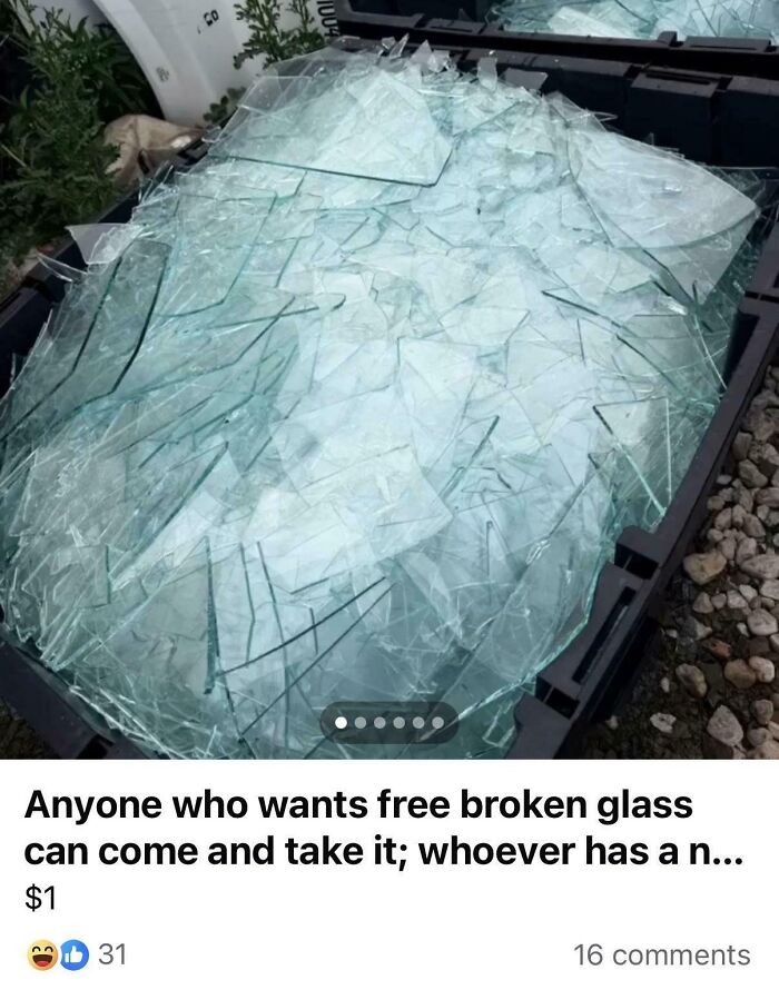 65 Marketplace Listings So Unhinged They Should Come With A Disclaimer And A Hotline Number 65 Marketplace Listings So Unhinged They Should Come With A Disclaimer And A Hotline Number