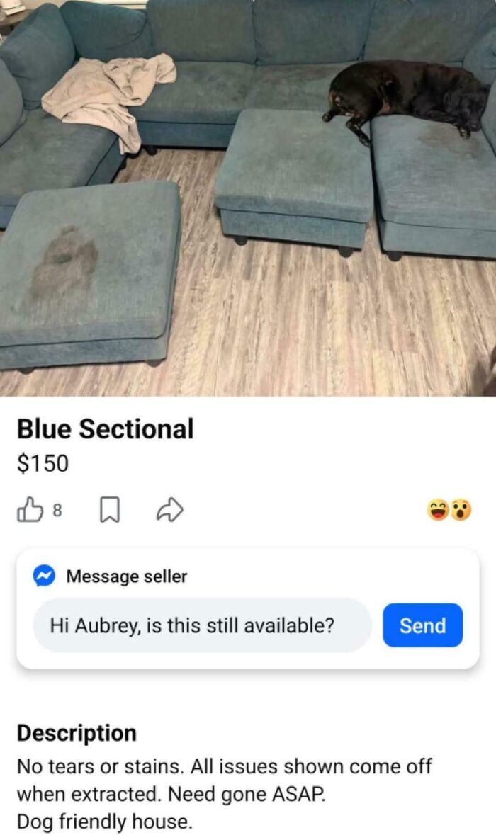 65 Marketplace Listings So Unhinged They Should Come With A Disclaimer And A Hotline Number 65 Marketplace Listings So Unhinged They Should Come With A Disclaimer And A Hotline Number