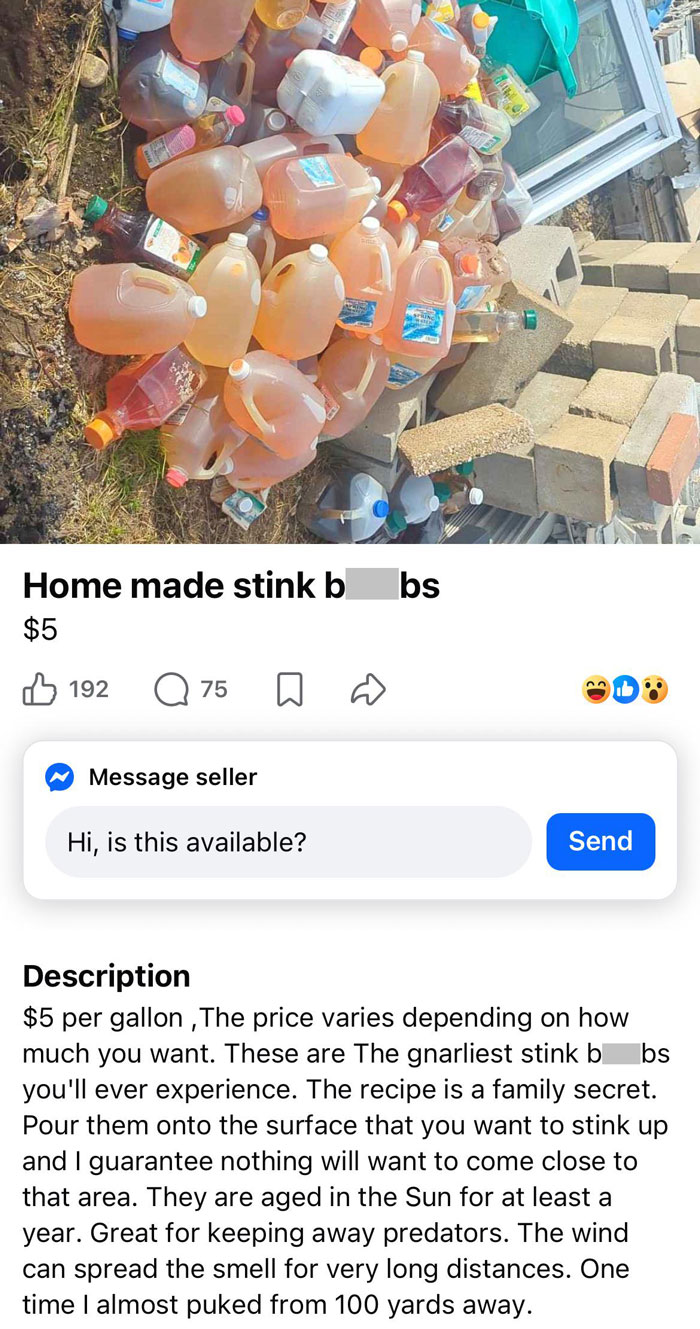 65 Marketplace Listings So Unhinged They Should Come With A Disclaimer And A Hotline Number 65 Marketplace Listings So Unhinged They Should Come With A Disclaimer And A Hotline Number