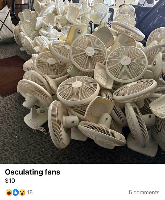 65 Marketplace Listings So Unhinged They Should Come With A Disclaimer And A Hotline Number 65 Marketplace Listings So Unhinged They Should Come With A Disclaimer And A Hotline Number