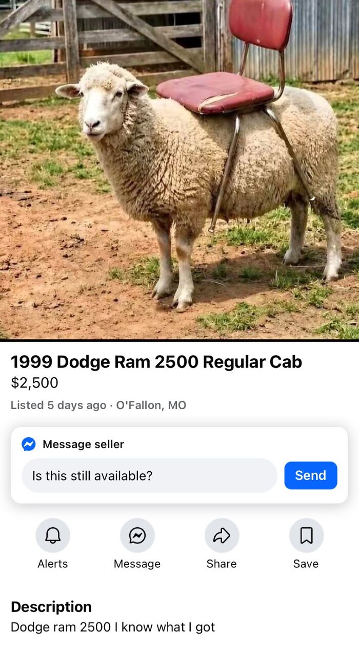 65 Marketplace Listings So Unhinged They Should Come With A Disclaimer And A Hotline Number 65 Marketplace Listings So Unhinged They Should Come With A Disclaimer And A Hotline Number