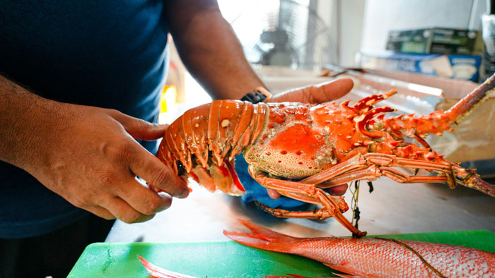 Man Expects A Free Steak And Lobster Dinner For GF, Explodes When Offered Frozen Meal Instead Man Expects A Free Steak And Lobster Dinner For GF, Explodes When Offered Frozen Meal Instead