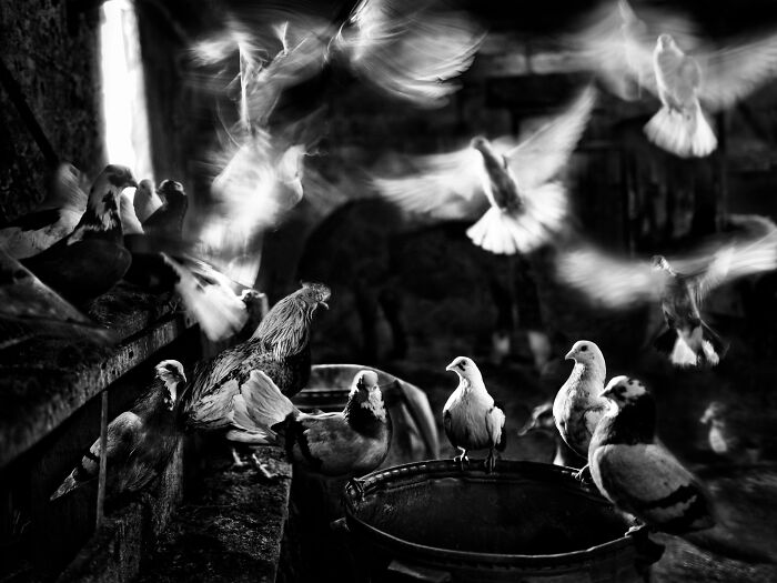 Oliver Klink’s ‘Where The Earth Remembers’ Captures Europe’s Vanishing Rural Traditions (19 Pics) Oliver Klink’s ‘Where The Earth Remembers’ Captures Europe’s Vanishing Rural Traditions (19 Pics)