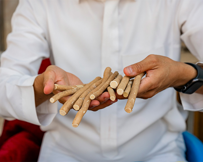 People Are Swapping Toothpaste For African Twig In Search Of A White Smile, Experts Reveal The Truth People Are Swapping Toothpaste For African Twig In Search Of A White Smile, Experts Reveal The Truth