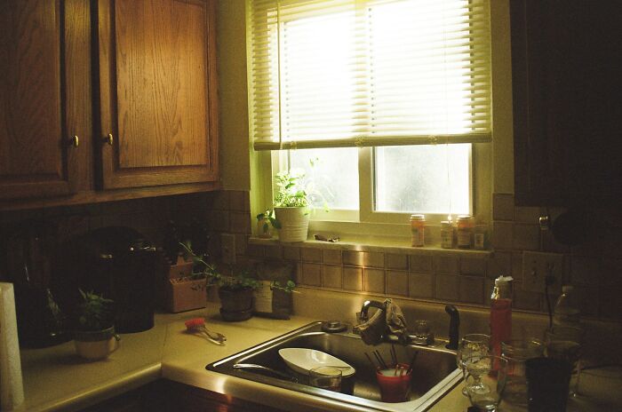 50 People Who Immediately Regretted Accepting An Invitation To Someone’s House