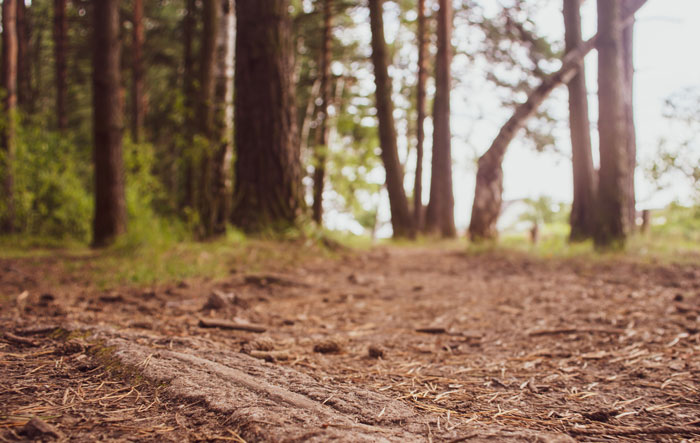 55 Missing Person Cases That Still Terrify People Years Later