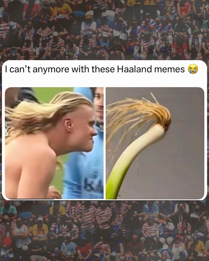 56 Hilarious World Cup Memes That Perfectly Represent The Chaos That&rsquo;s Been Happening