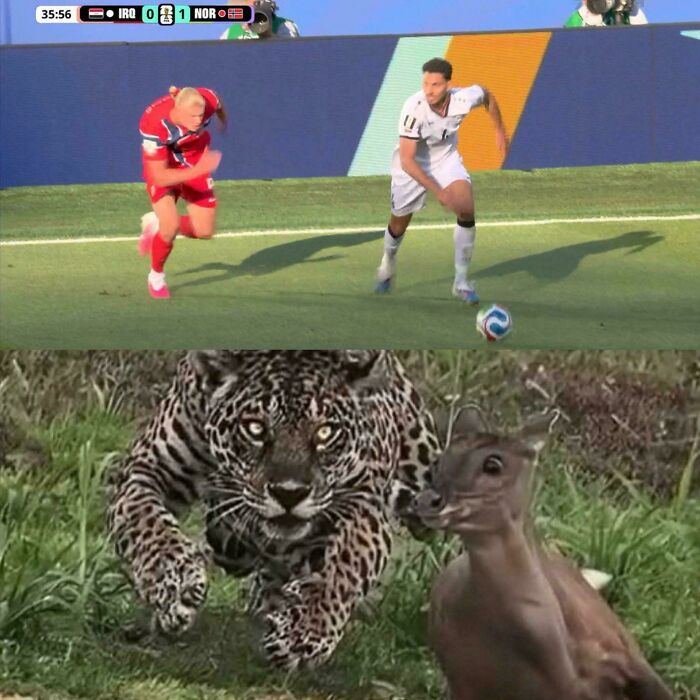 56 Hilarious World Cup Memes That Perfectly Represent The Chaos That&rsquo;s Been Happening