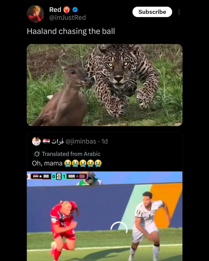 56 Hilarious World Cup Memes That Perfectly Represent The Chaos That&rsquo;s Been Happening