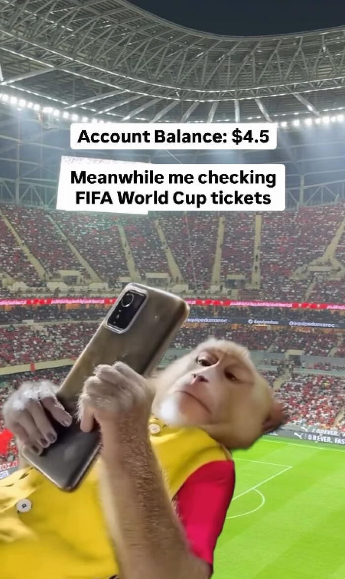 56 Hilarious World Cup Memes That Perfectly Represent The Chaos That&rsquo;s Been Happening