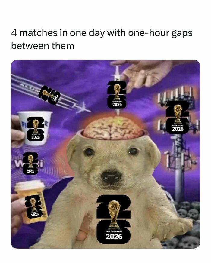 56 Hilarious World Cup Memes That Perfectly Represent The Chaos That&rsquo;s Been Happening