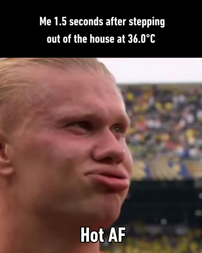 56 Hilarious World Cup Memes That Perfectly Represent The Chaos That&rsquo;s Been Happening