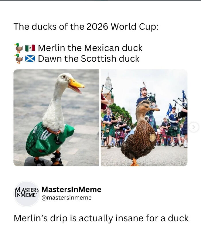 56 Hilarious World Cup Memes That Perfectly Represent The Chaos That&rsquo;s Been Happening