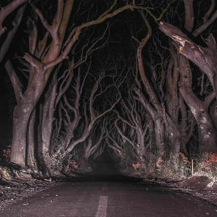 77 Creepy Images That Might Be Your Tonight&rsquo;s Nightmare Fuel
