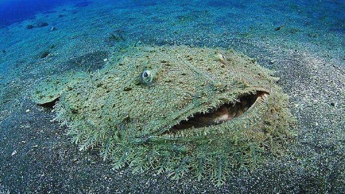 77 Creepy Images That Might Be Your Tonight&rsquo;s Nightmare Fuel