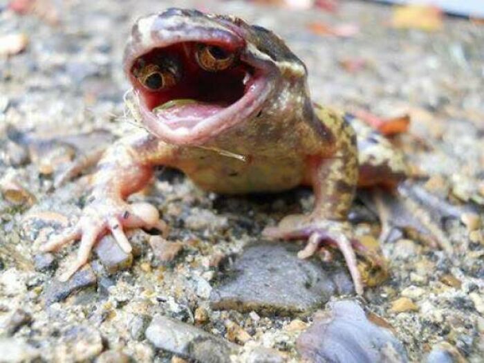 77 Creepy Images That Might Be Your Tonight&rsquo;s Nightmare Fuel