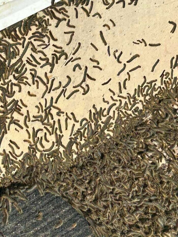 77 Creepy Images That Might Be Your Tonight&rsquo;s Nightmare Fuel