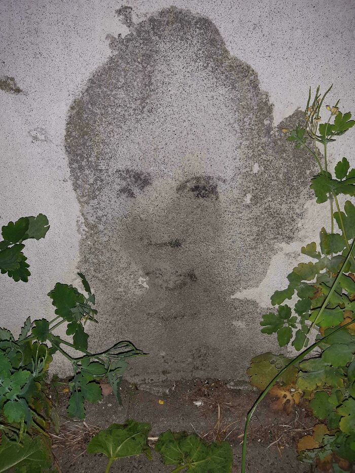 77 Creepy Images That Might Be Your Tonight&rsquo;s Nightmare Fuel