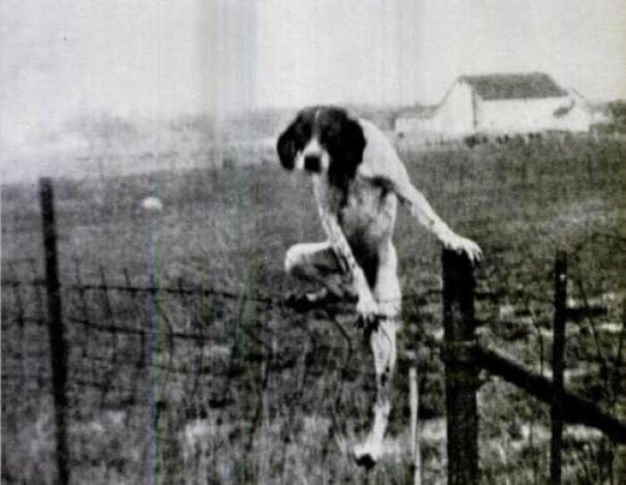 77 Creepy Images That Might Be Your Tonight&rsquo;s Nightmare Fuel