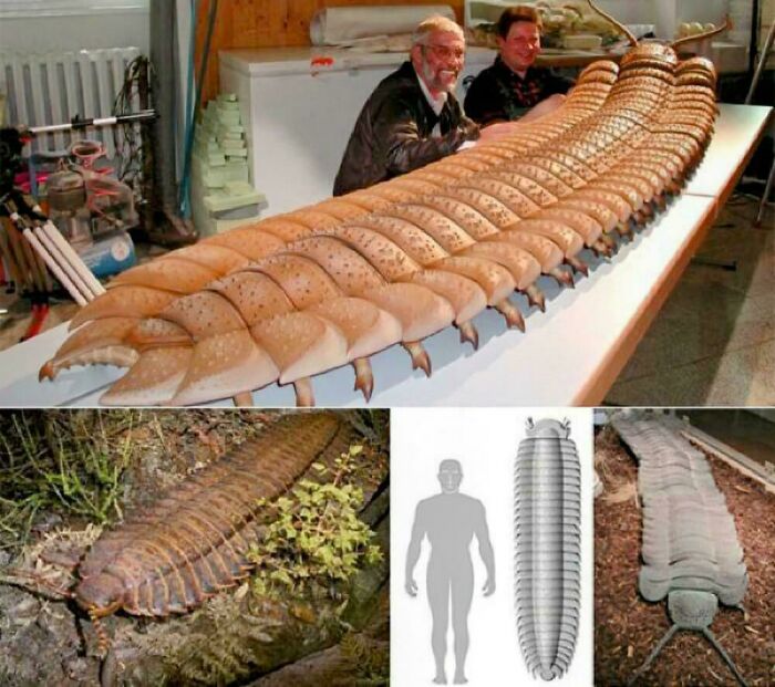 77 Creepy Images That Might Be Your Tonight&rsquo;s Nightmare Fuel