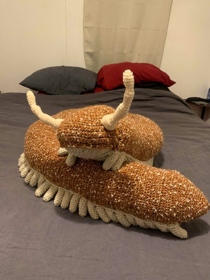81 Crochet Fans Show Off Their Most Useful DIY Creations 81 Crochet Fans Show Off Their Most Useful DIY Creations