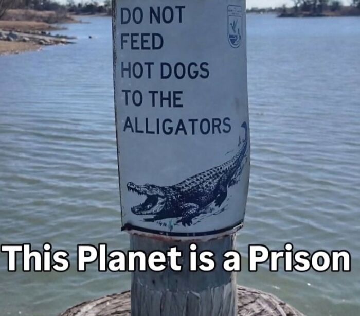 “America’s Cultural Decline Into Idiocy”: 105 Ridiculous Posts “America’s Cultural Decline Into Idiocy”: 105 Ridiculous Posts