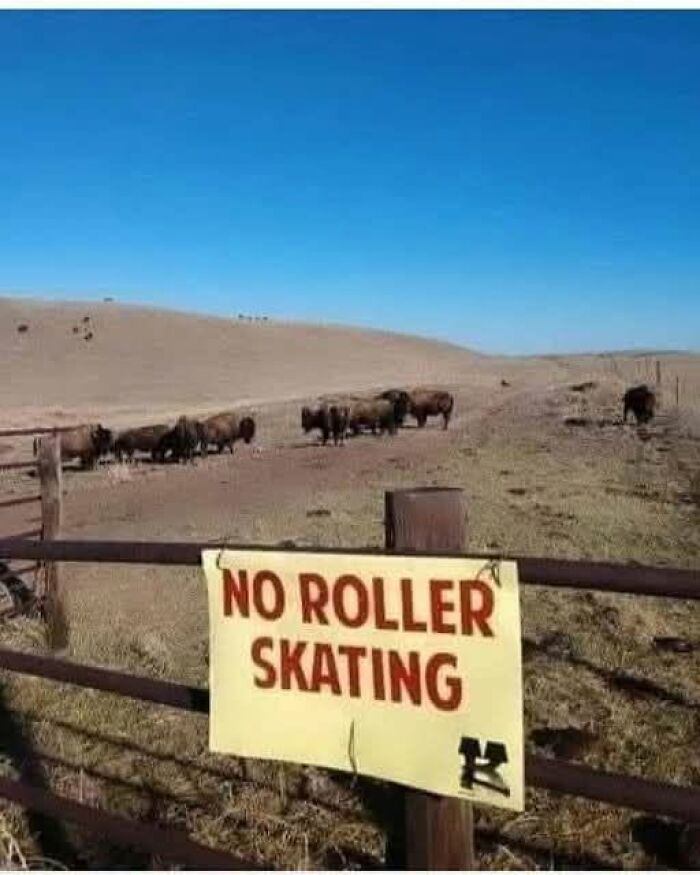 “America’s Cultural Decline Into Idiocy”: 105 Ridiculous Posts “America’s Cultural Decline Into Idiocy”: 105 Ridiculous Posts