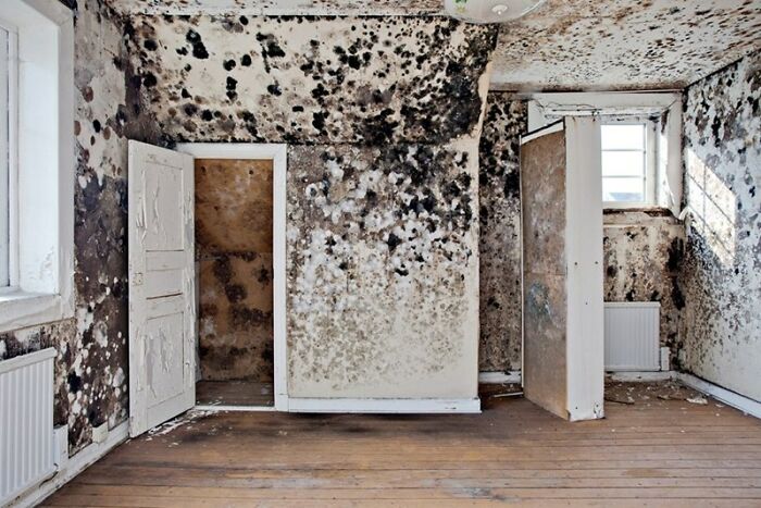 82 Unhinged Real Estate Listings That Were More Of A Warning Than An Invitation 82 Unhinged Real Estate Listings That Were More Of A Warning Than An Invitation