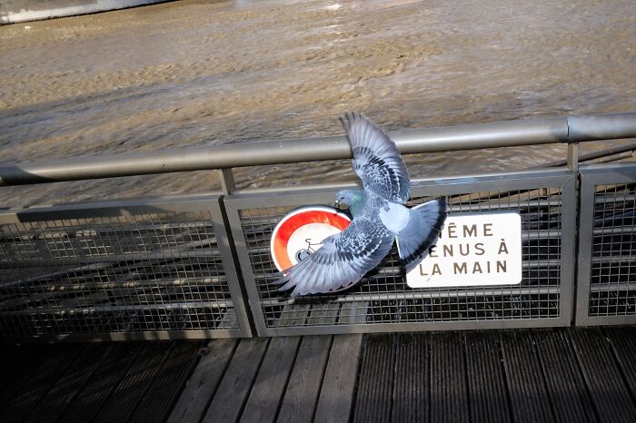 35 Perfectly Timed Street Photos By This Artist That Reveal Extraordinary Moments Hidden In Everyday Life 35 Perfectly Timed Street Photos By This Artist That Reveal Extraordinary Moments Hidden In Everyday Life