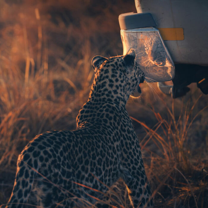 24 Winning Shots From The Artist Gallery’s 2026 Wildlife Photography Contest 24 Winning Shots From The Artist Gallery’s 2026 Wildlife Photography Contest