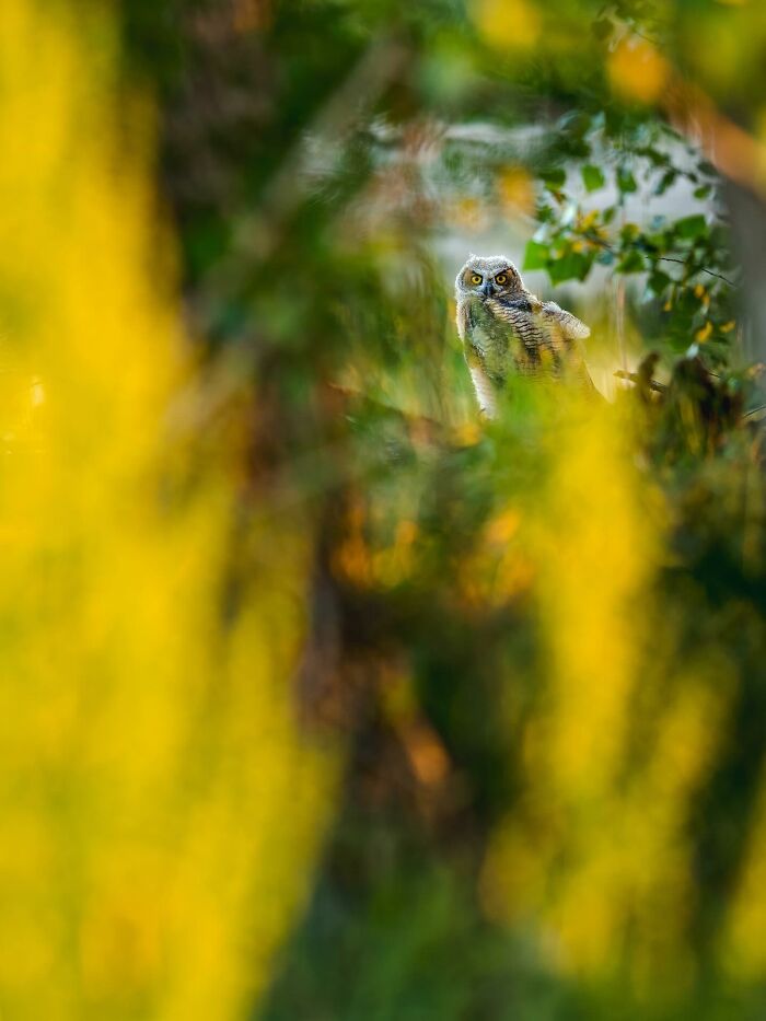24 Winning Shots From The Artist Gallery’s 2026 Wildlife Photography Contest 24 Winning Shots From The Artist Gallery’s 2026 Wildlife Photography Contest