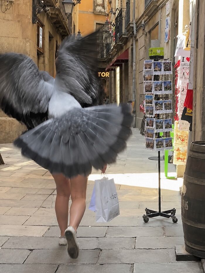 This Photographer Captures Perfectly Timed Coincidences On The Streets Of Barcelona (77 Pics) This Photographer Captures Perfectly Timed Coincidences On The Streets Of Barcelona (77 Pics)