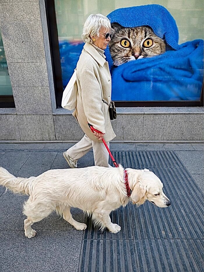 This Photographer Captures Perfectly Timed Coincidences On The Streets Of Barcelona (77 Pics) This Photographer Captures Perfectly Timed Coincidences On The Streets Of Barcelona (77 Pics)