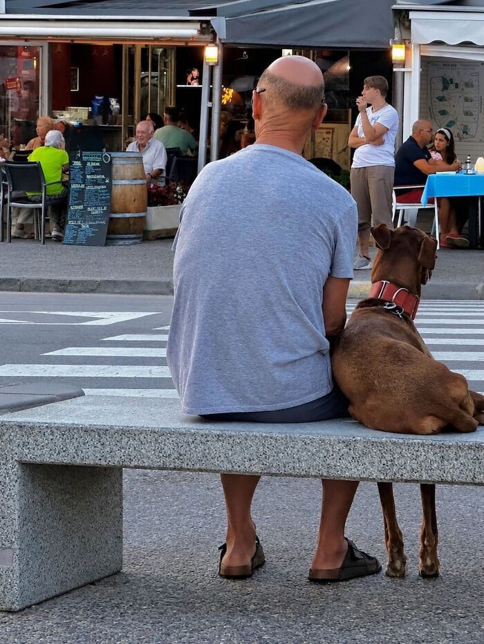 This Photographer Captures Perfectly Timed Coincidences On The Streets Of Barcelona (77 Pics) This Photographer Captures Perfectly Timed Coincidences On The Streets Of Barcelona (77 Pics)