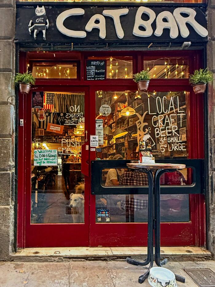 This Photographer Captures Perfectly Timed Coincidences On The Streets Of Barcelona (77 Pics) This Photographer Captures Perfectly Timed Coincidences On The Streets Of Barcelona (77 Pics)