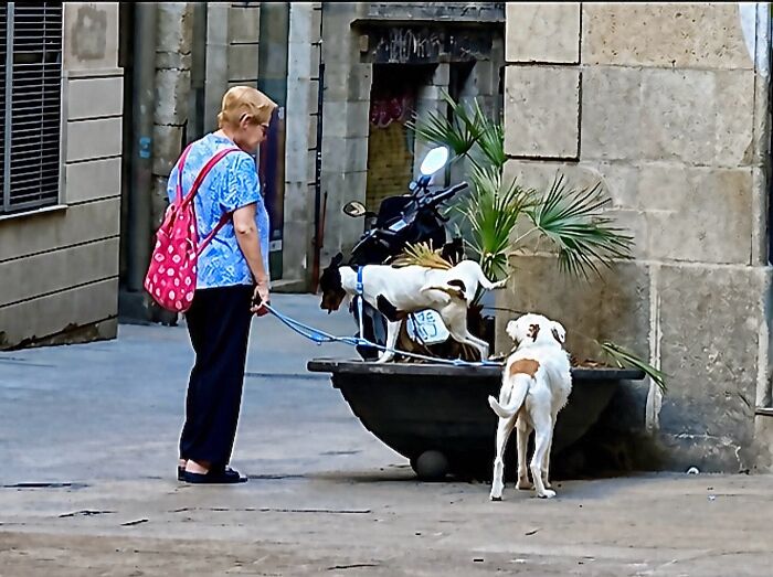 This Photographer Captures Perfectly Timed Coincidences On The Streets Of Barcelona (77 Pics) This Photographer Captures Perfectly Timed Coincidences On The Streets Of Barcelona (77 Pics)