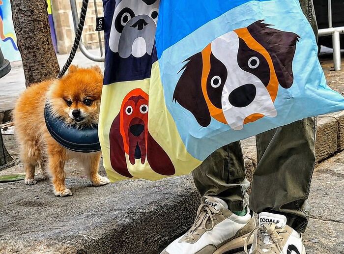 This Photographer Captures Perfectly Timed Coincidences On The Streets Of Barcelona (77 Pics) This Photographer Captures Perfectly Timed Coincidences On The Streets Of Barcelona (77 Pics)