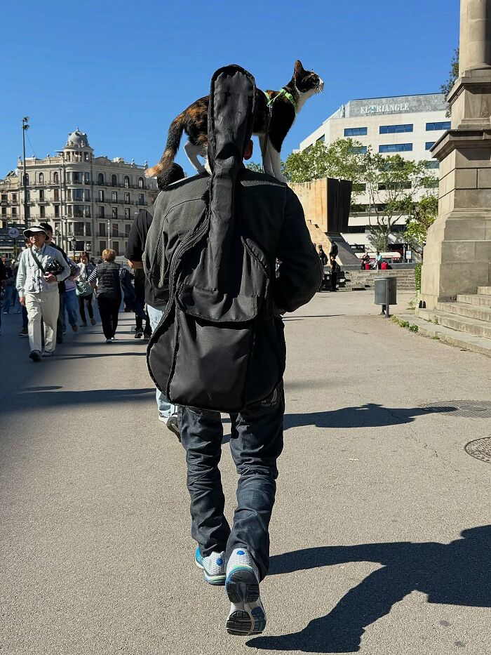 This Photographer Captures Perfectly Timed Coincidences On The Streets Of Barcelona (77 Pics) This Photographer Captures Perfectly Timed Coincidences On The Streets Of Barcelona (77 Pics)