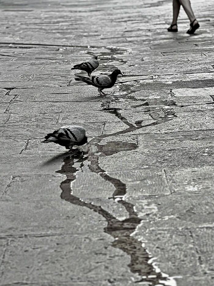 This Photographer Captures Perfectly Timed Coincidences On The Streets Of Barcelona (77 Pics) This Photographer Captures Perfectly Timed Coincidences On The Streets Of Barcelona (77 Pics)