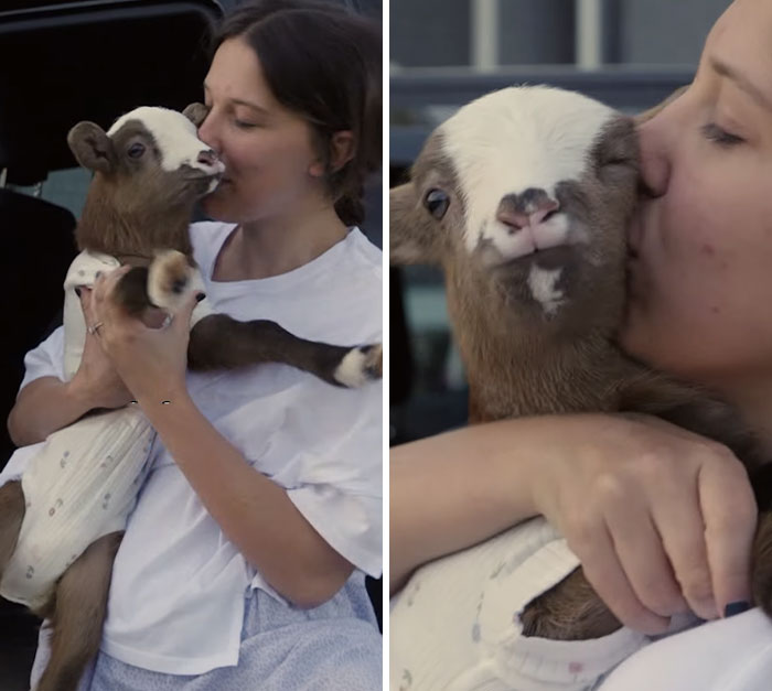 Millie Bobby Brown’s Lie Detector Test Takes Controversial Turn After She’s Asked About Eating Her Animals Millie Bobby Brown’s Lie Detector Test Takes Controversial Turn After She’s Asked About Eating Her Animals