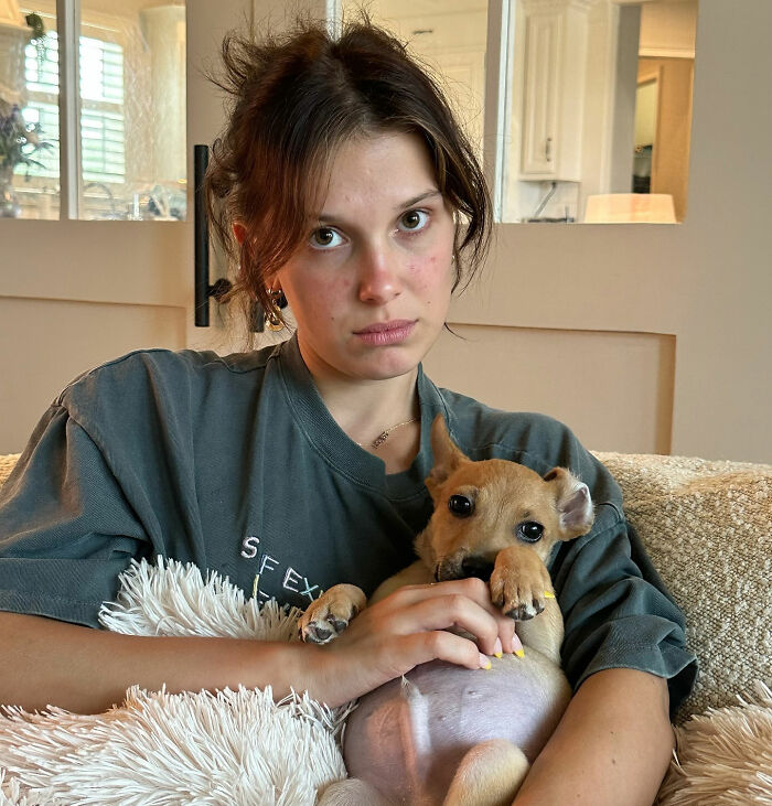 Millie Bobby Brown’s Lie Detector Test Takes Controversial Turn After She’s Asked About Eating Her Animals Millie Bobby Brown’s Lie Detector Test Takes Controversial Turn After She’s Asked About Eating Her Animals