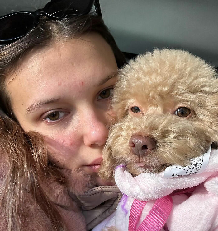 Millie Bobby Brown’s Lie Detector Test Takes Controversial Turn After She’s Asked About Eating Her Animals Millie Bobby Brown’s Lie Detector Test Takes Controversial Turn After She’s Asked About Eating Her Animals