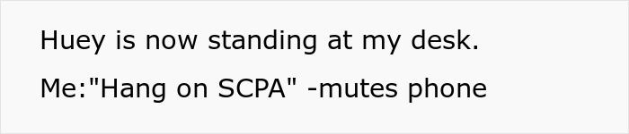 IT Worker Takes Down Buffoon Accountant With Clever Plan, Says “Network’s Down” Right Back At Her IT Worker Takes Down Buffoon Accountant With Clever Plan, Says “Network’s Down” Right Back At Her