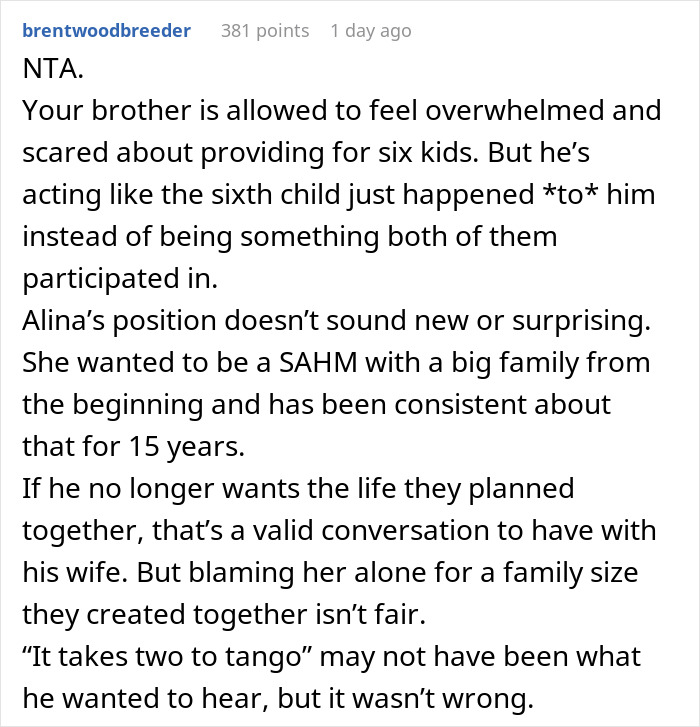 Guy Glad Wife Is SAHM, Regrets It When They’re Having 6th Kid, Sibling Says It’s His Fault Too
